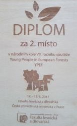 diplom2.JPG