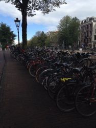 Amsterdam (2).JPG
